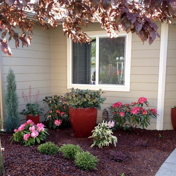 Spring Containers