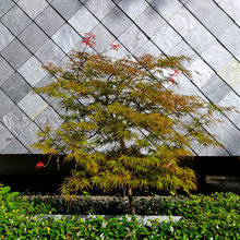 Valerie's Exteriors