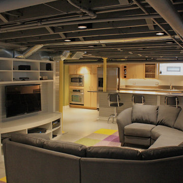 Contemporary Basement Remodel