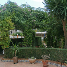 Ideas del jardín de Mariper