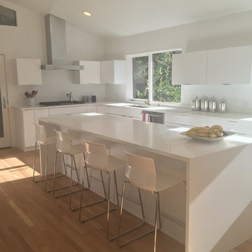 Kitchen Remodel (modern) - Rockville MD