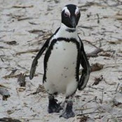 Helen Sweeney's photo