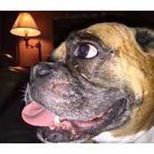 Dan Sager's photo