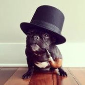 Sarah Cameron's photo