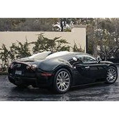 Jim Jankovic's photo
