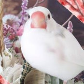 Miyuki Hamada's photo