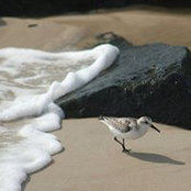 Anne Barry's photo