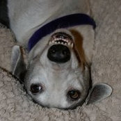 Terri Jacobson's photo