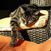 Denise Fuller's photo