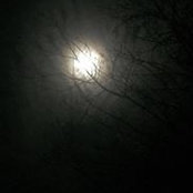 Foto di Shayne Kost