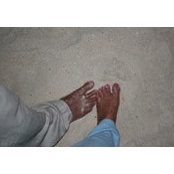 Kim Matthews's photo