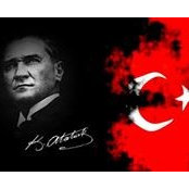 Can Sarikurt's photo