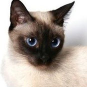 Tanya Waterman's photo