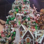 Norma Robles's photo
