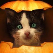 Janene Hague's photo