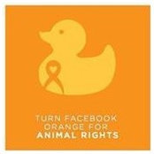 Adriana Correa's photo