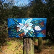 Tammy McMahon's photo
