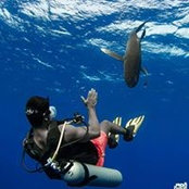 Sherif Sambayo's photo