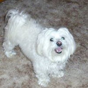 Beth Horne-Beachy's photo
