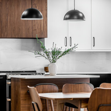 Modern High Contrast Kitchen
