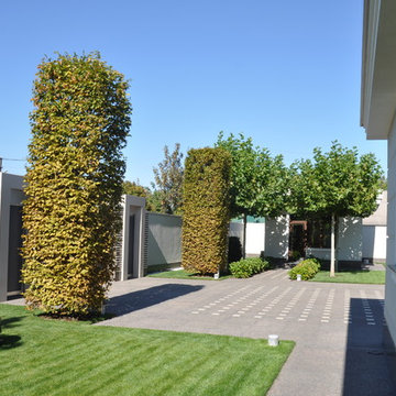 Private modern garden / Частный современный сад.