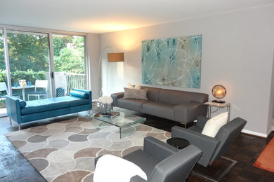Minimalist family room photo in DC Metro