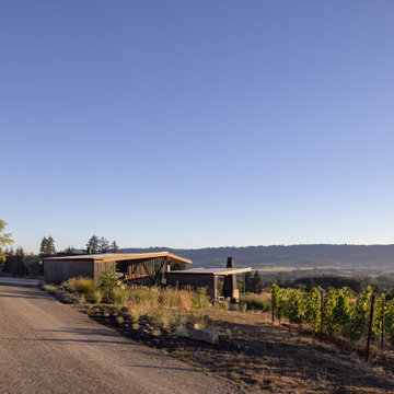 Big Fir Vineyard