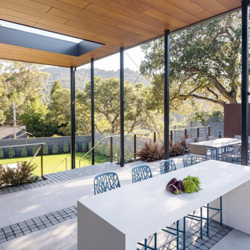 Marin Remodel