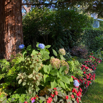 Prominent Palo Alto Corner Now colorful