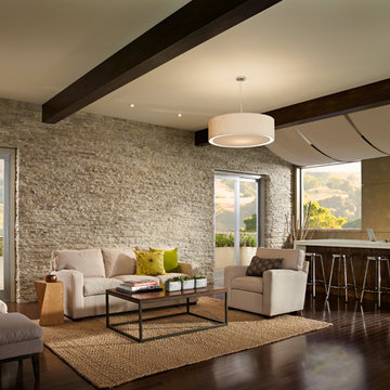 Neutral Earthy Living Room With Stone Accent Wall