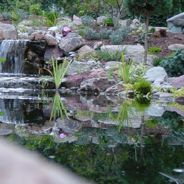 Naturteiche & Bachläufe