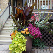 Landscape Ideas