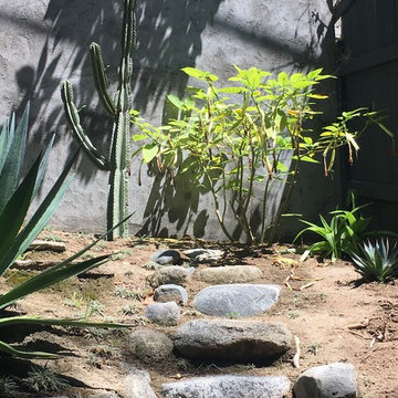 Eclectic, Contemporary Canyon Garden with Low Water Succulents