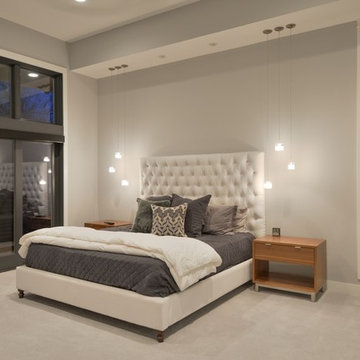Eagles Landing - Modern Walkout Rambler -Saint Augusta, Mn