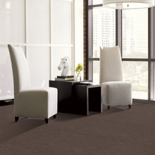 Shauna's ideas