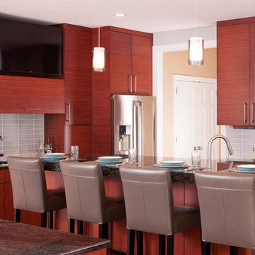 Kitchen, Mudroom, Addition - Potomac, MD
