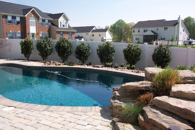 Mid-sized contemporary backyard custom-shaped lap pool in DC Metro with natural stone pavers.