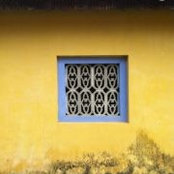 Rachel Morse's photo