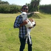 Foto von Haitham Wael