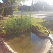 Clara Carter's photo