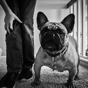 Carol Ray's photo