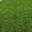 Evergreen Synthetic Turf Supply Canberra