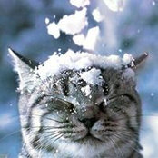 Debbie Keller's photo