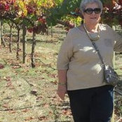 Nancy York's photo