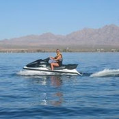 Sue Reeve's photo