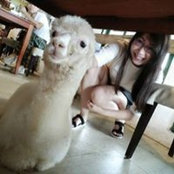 Yeong Catherine's photo