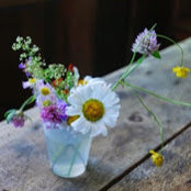 Kimberly Boland's photo
