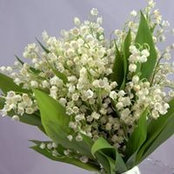 Joyce Holland's photo