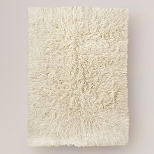 Contemporary Rugs by Cost Plus World Market