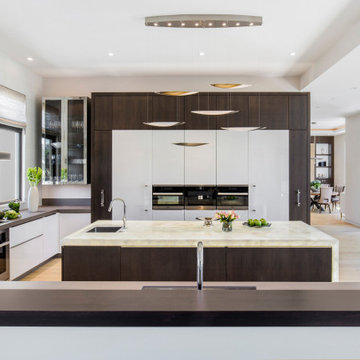 Hillsborough Modern Ranch
